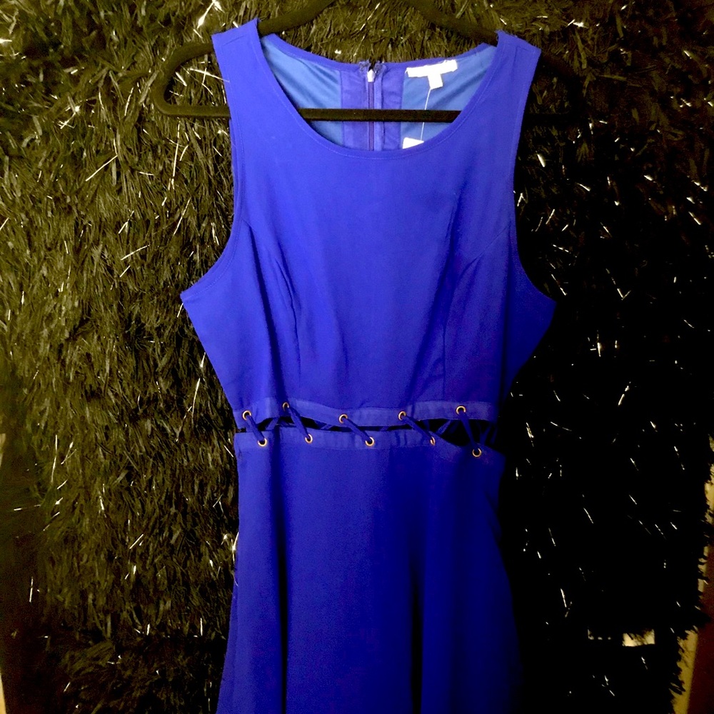 Royal Blue